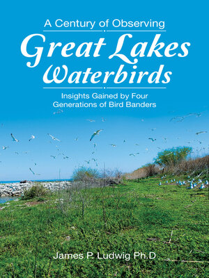 cover image of A Century of Observing Great Lakes Waterbirds